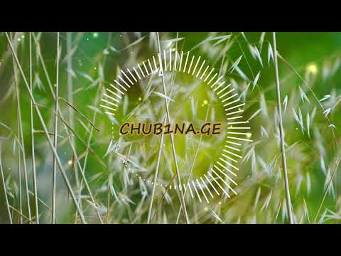 ✔ მთიულური მელოდია / ფანდური / Panduri / Fanduri / Mtiuluri / Georgian Folk Music / CHUB1NA.GE